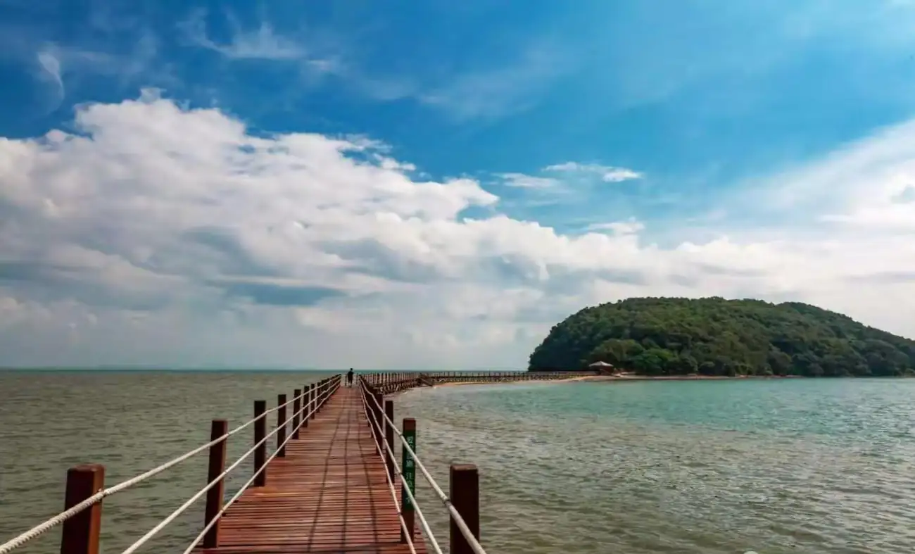 红树林湿地公园