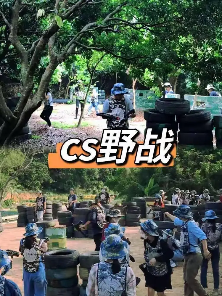 三角洲岛
