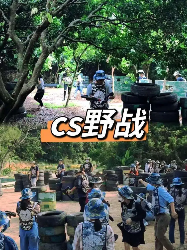 三角洲岛
