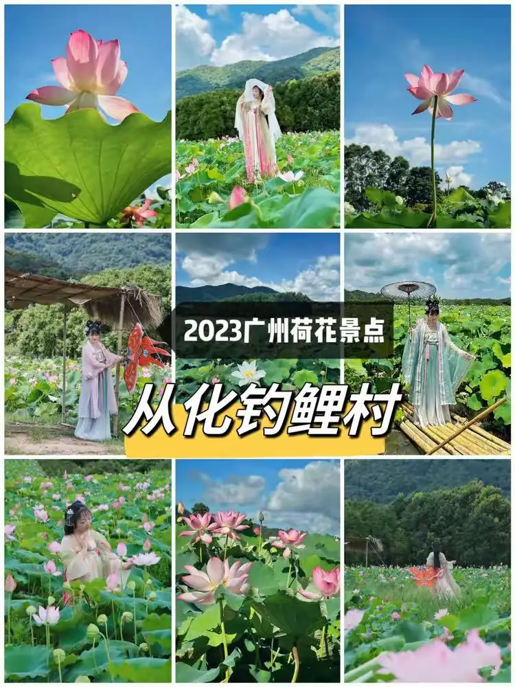 古筝