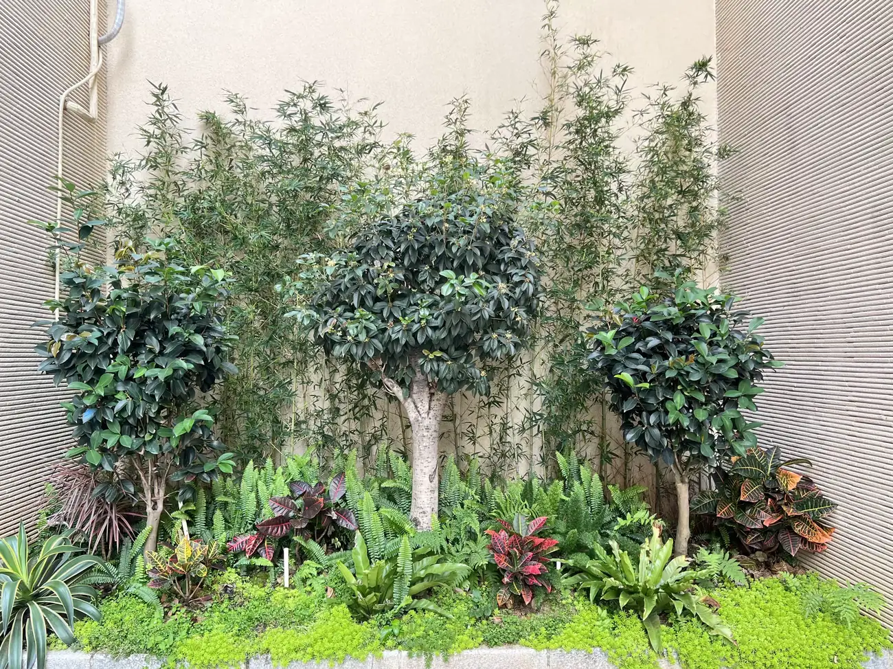到三英钓云台私家温泉别墅