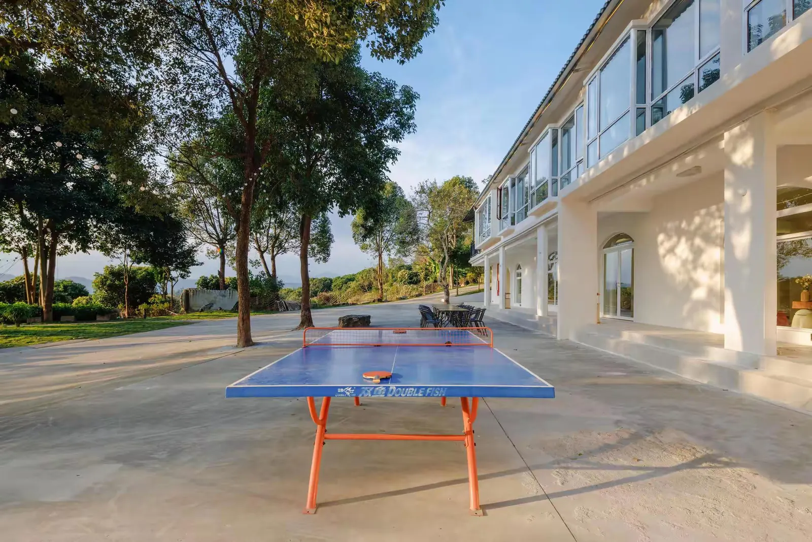 乒乓球🏓
