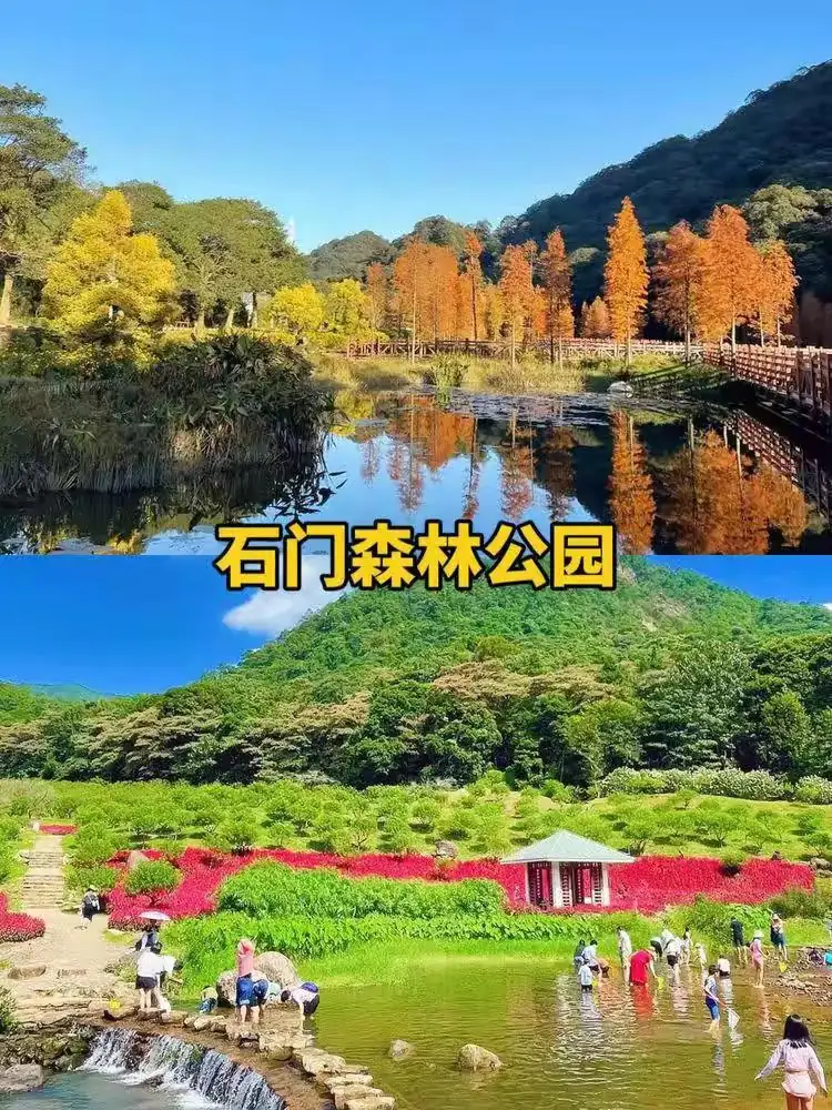 （出门溯溪） TING'FENG听风小筑 一房一私汤♨️从化全新4房5床山野小院｜亲子滑梯｜听风泡泉，归隐山林具象化～