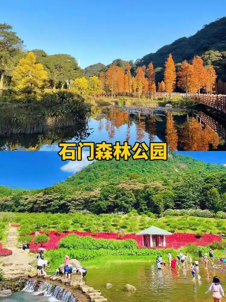 VENICE威尼斯 从化高端温泉♨️6房10床独栋民宿｜近溯溪｜独立KTV｜水上乐园亲子美宿