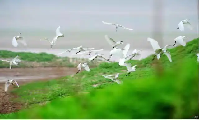 丨鹭湖探索王国（包含水世界）游玩需时：