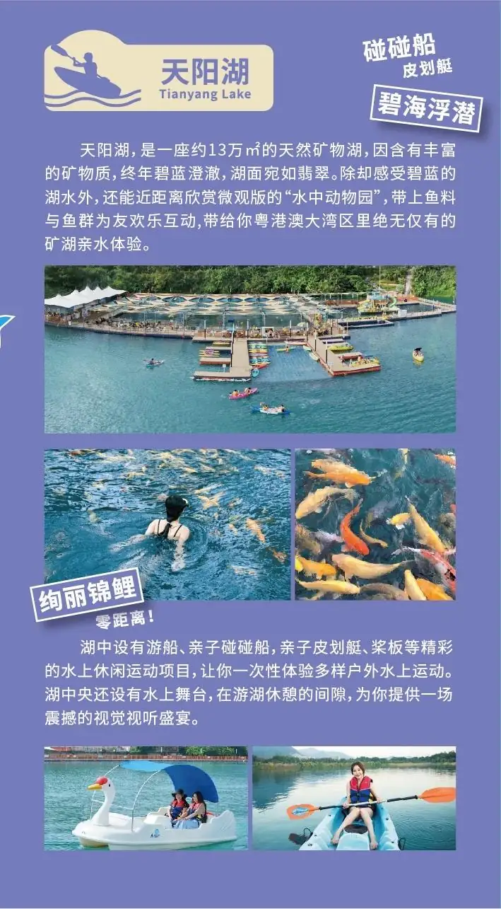 『竹影轩•西街17』锦绣香江高奢12房20床泳池温泉别墅·会议室·奢华KTV