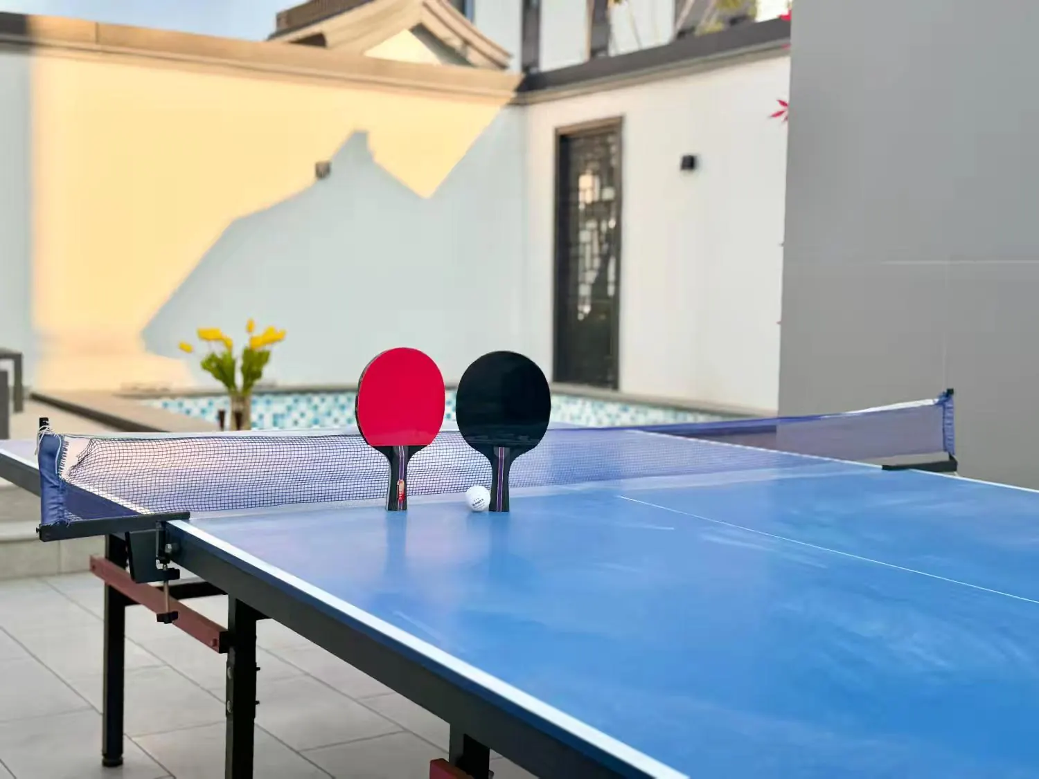 乒乓球🏓