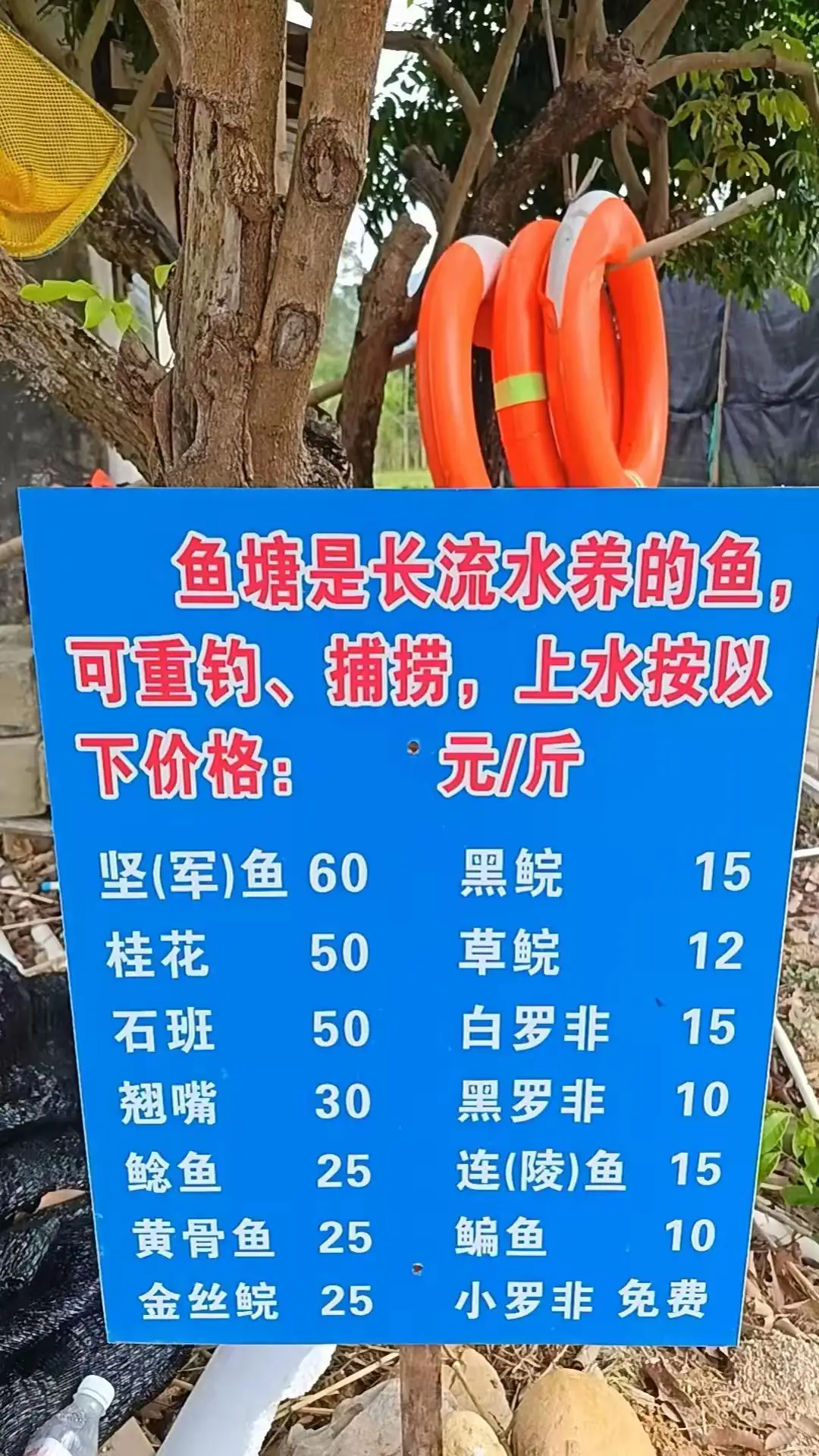 乔慕瑾 9房15床 | 全套房 | 滑梯泳池 | 八泡池 千平草坪 | 双麻将桌 | 儿童滑梯 户外舞台&K歌 | 爱心秋千 | 乒乓球 踢足球 | 篮球 | 竹筏&游船 | 垂钓 | 烧烤