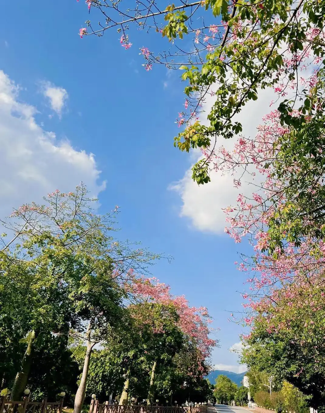 从化📍全新南法美宿🏖慕也·Muye Villa 🌠6房10床（全套间），南法花园💐山泉水泳池🏊私汤双泡池🛁独立KTV包房🎤麻将🀄️桌球🎱游戏街机🎮自助厨房👨‍🍳茶台