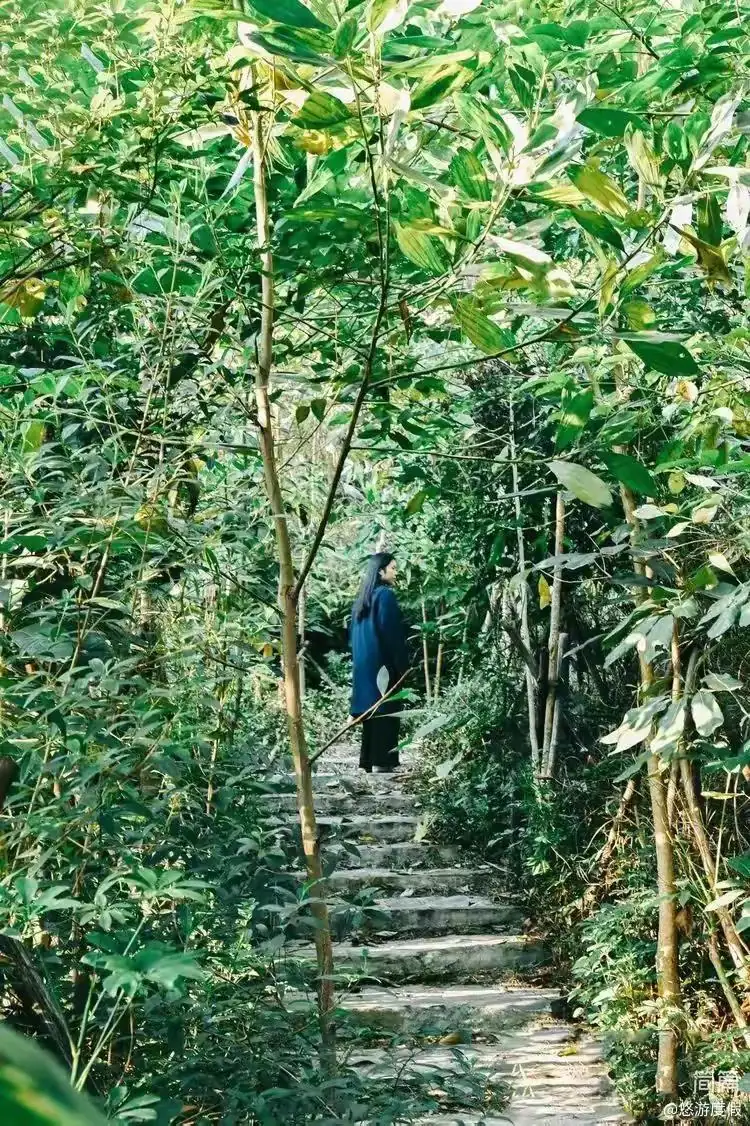 户外山景美不胜收，拥抱森林，畅快呼吸；