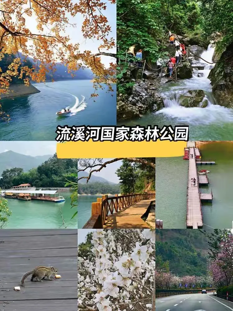 野奢度假美宿| 陌野· 尘外🌅全套间10房15+5床🌲从化千平花园 🧡专业会议室·人气较旺的滑梯·超长山水泳池·篝火晚会·草坪婚礼·通宵KTV ·篮球场.羽毛球场.钓鱼场