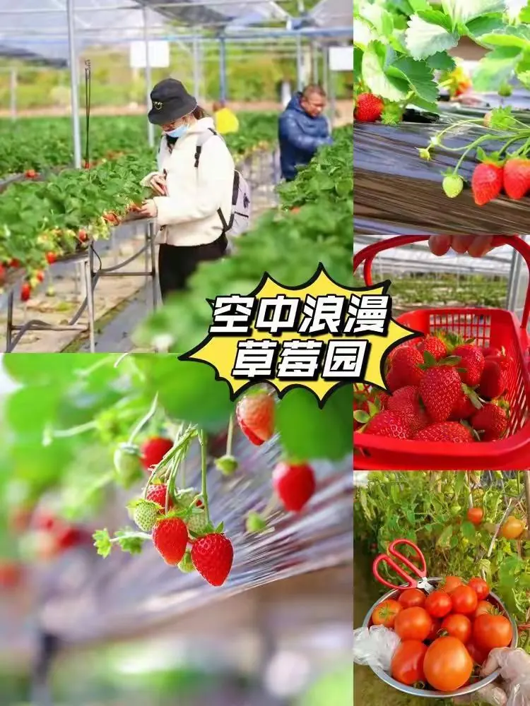 野奢度假美宿| 陌野· 尘外🌅全套间10房15+5床🌲从化千平花园 🧡专业会议室·人气较旺的滑梯·超长山水泳池·篝火晚会·草坪婚礼·通宵KTV ·篮球场.羽毛球场.钓鱼场