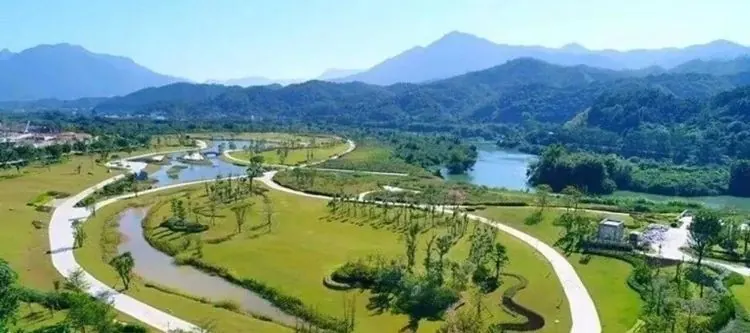 湿地公园