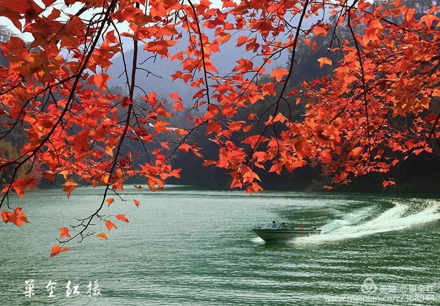 云泉路7号 ·6房10床(全套间) ·从化富力泉·奢华欧式 独立K房 泳池别墅